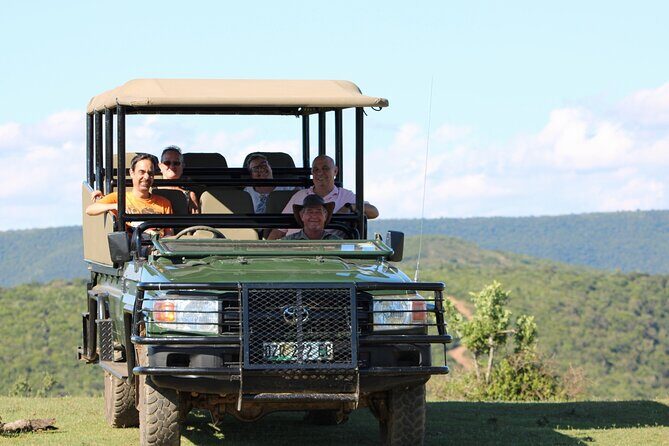 Giraffe Tracking 4x4 Safaris - What Makes This Tour Special?