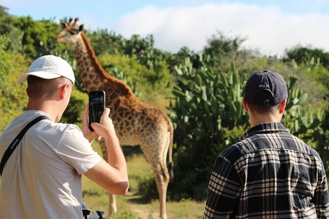 Giraffe Tracking 4x4 Safaris - The Value Proposition