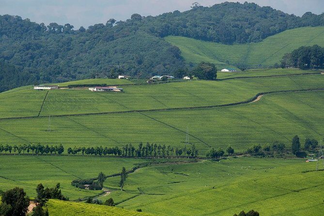 Gisenyi city tour - A Practical Look at the Gisenyi City Tour
