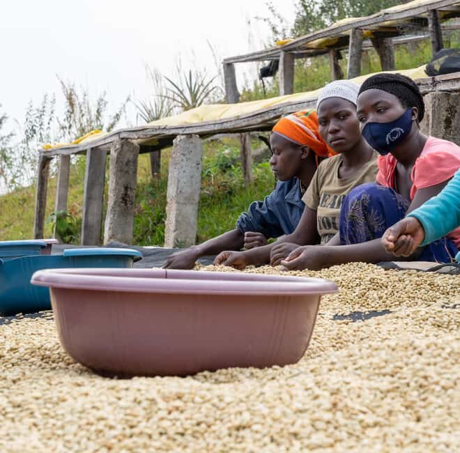 Gisenyi: Lake Kivu Half-Day Boat & Crop-to-Cup Coffee Tour - Key Points