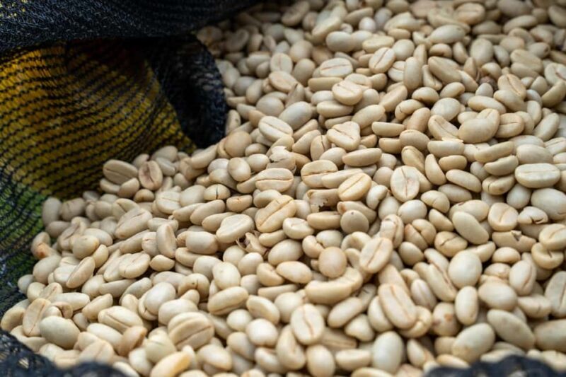 Gisenyi: Lake Kivu Half-Day Boat & Crop-to-Cup Coffee Tour - The Journey Begins: A Scenic Boat Ride into the Heart of Kivu