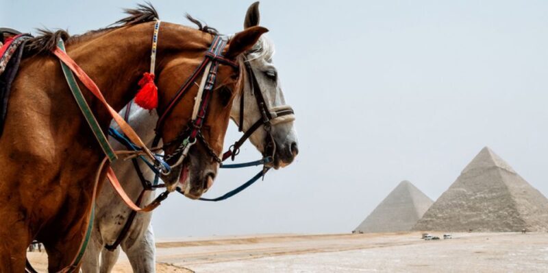 Giza: Arabian Horse Tour Around the Giza Pyramids - Who Will Love This Tour?