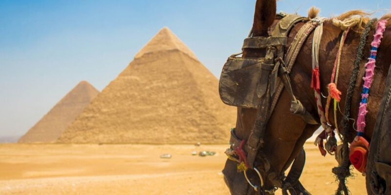 Giza: Arabian Horse Tour Around the Giza Pyramids - Final Thoughts