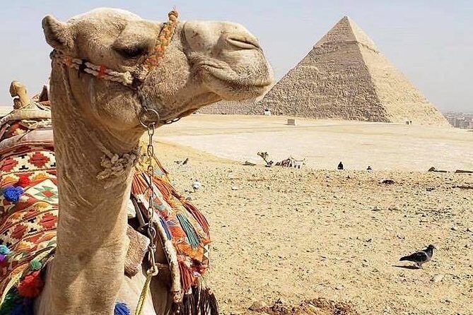 Giza pyramids and The Grand Museum From Cairo Hotels&Airport - An Introduction to the Tour Experience
