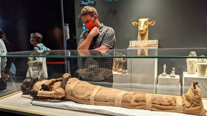 Giza Pyramids, Mummy Museum And Bazaar Private Day Tour - An In-Depth Look at the Tour Experience