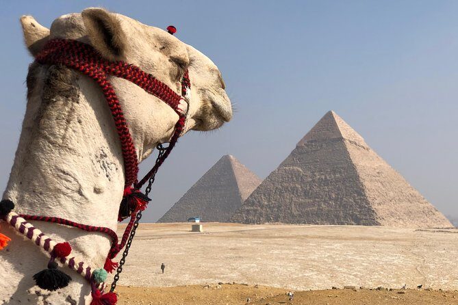 Giza Pyramids, Sphinx & Egyptian Museum treasures with private qualified guide - The Egyptian Museum: An Unparalleled Treasure Trove