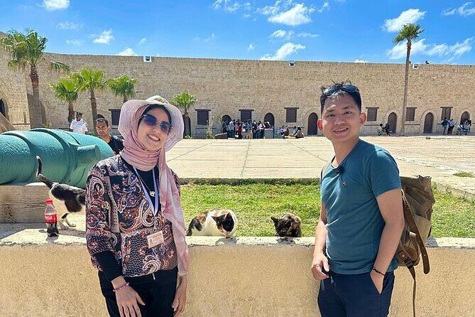 Giza Pyramids+Salahuddin castle,10%to stray dogs & cats of egypt - Transportation and Comfort