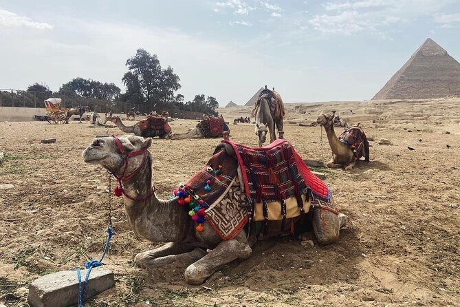 Giza Pyramids,Sphinx,Camel Ride,ATV Bike,Shopping, Dinner cruiseI - Who is This Tour Best For?