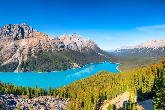 Glacier Adventure on the Icefields Parkway Hidden Gems Skywalk - The Sum Up: Why Choose This Tour?