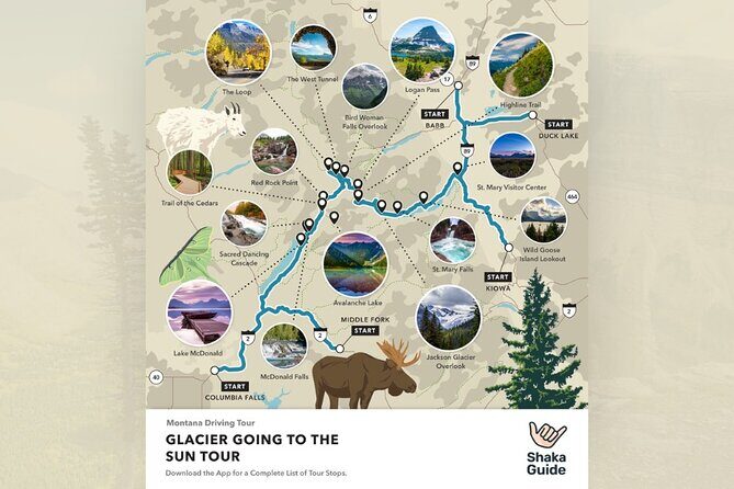 Glacier National Park Going-to-the-Sun Road Self-Guided Tour - Practical Tips for Making the Most of Your Tour