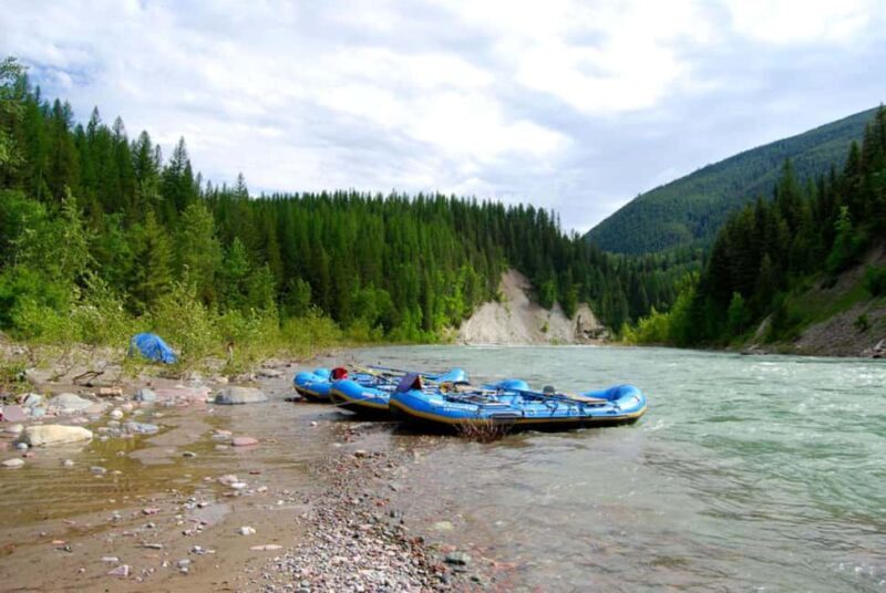 Glacier National Park: Scenic Float on the Flathead River - Practical Tips for Making the Most of Your Float