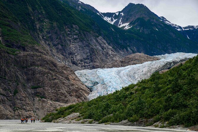 Glacier Point Wilderness Safari - Final Thoughts: Is This Tour Worth It?
