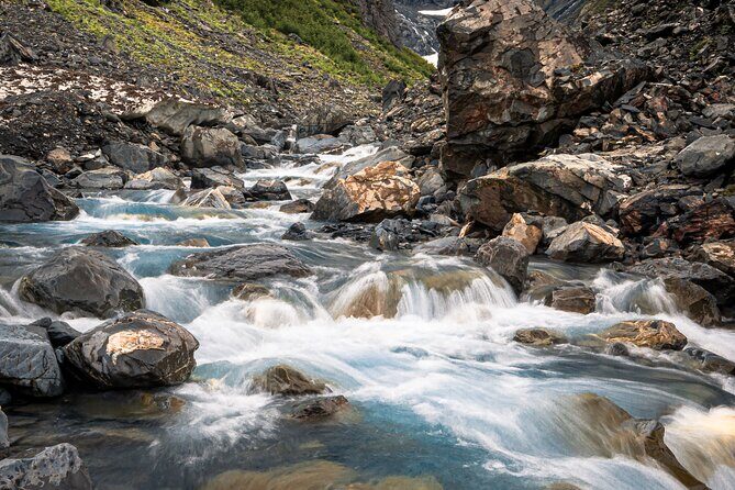 Glacier View & Wildlife Anchorage Adventure Tour - Who Will Love This Tour?