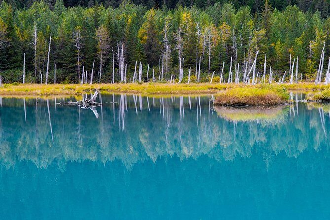 Glacier & Wildlife Discovery Tour - Additional Practical Details