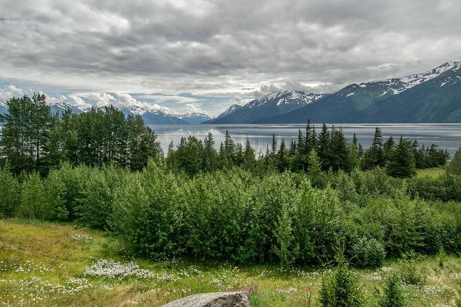 Glaciers and Wildlife: Super Scenic Day Tour from Anchorage - Transportation and Comfort