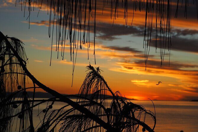 Glamping Resort on Magnetic Island - The Sum Up