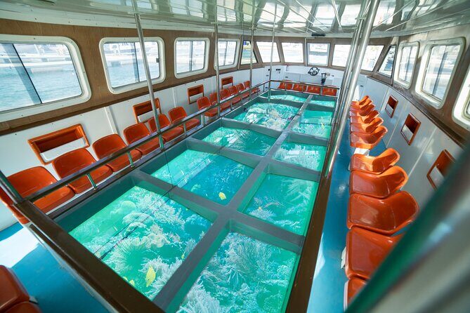 Glass-Bottom Boat 2-hours Tour and Coral-Reef Viewing from Aqaba - The Itinerary and What You Can Expect