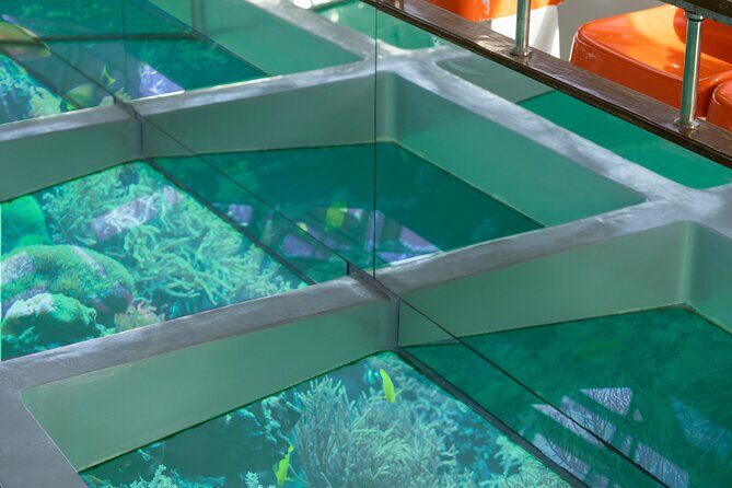 Glass-Bottom Boat 2-hours Tour and Coral-Reef Viewing from Aqaba - Frequently Asked Questions