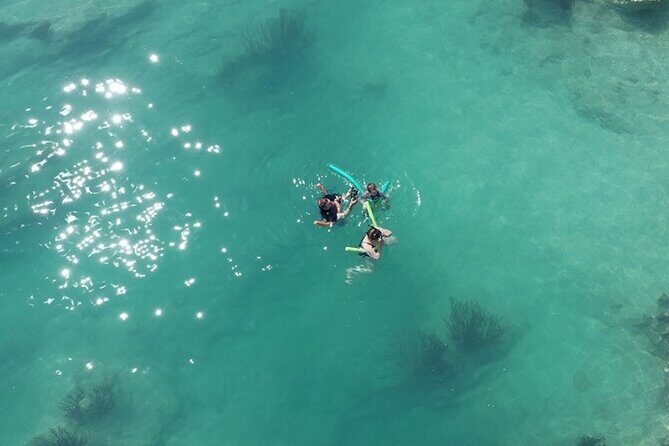 Glass Bottom Boat and Snorkeling Combo in Bermuda - Key Points
