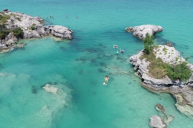 Glass Bottom Boat and Snorkeling Combo in Bermuda - A Detailed Look at the Bermuda Glass Bottom & Snorkel Experience