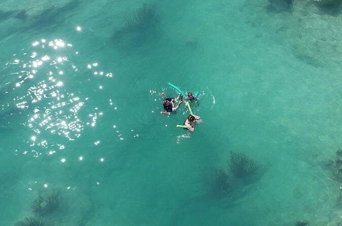 Glass Bottom Boat and Snorkeling Combo in Bermuda - Final Thoughts