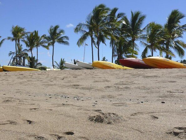 Glass-Bottom Boat Cruise from Waikoloa - Key Points