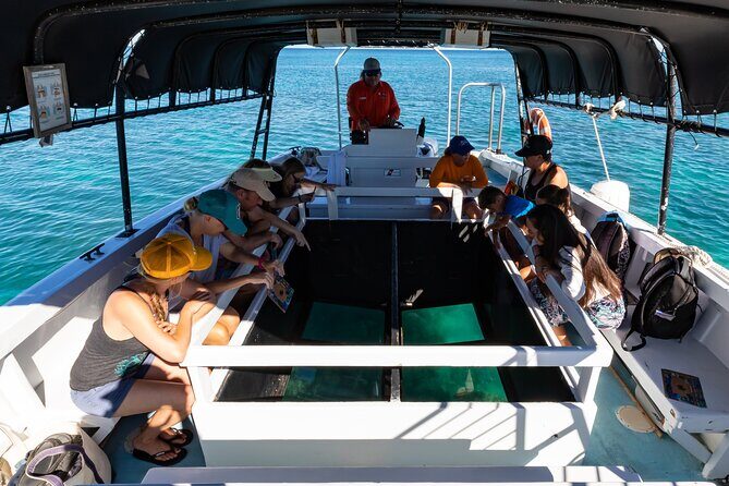 Glass-Bottom Boat Cruise from Waikoloa - The Experience in Detail