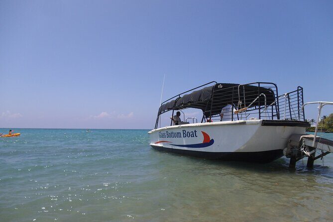 Glass-Bottom Boat Cruise from Waikoloa - FAQ