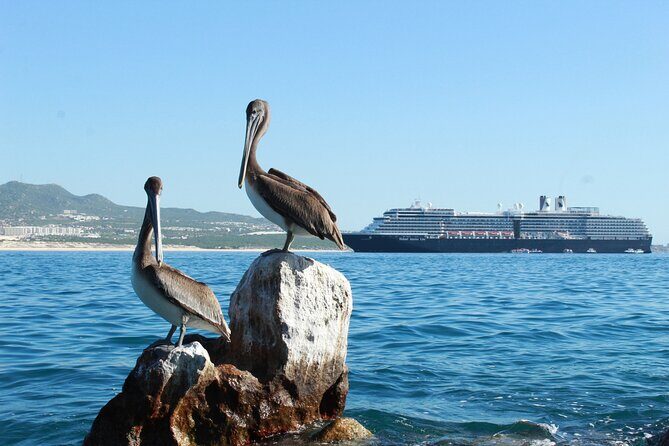 Glass Bottom Boat in Cabo San Lucas, free time in Playa del Amor - Practical Details and Tips for Travelers