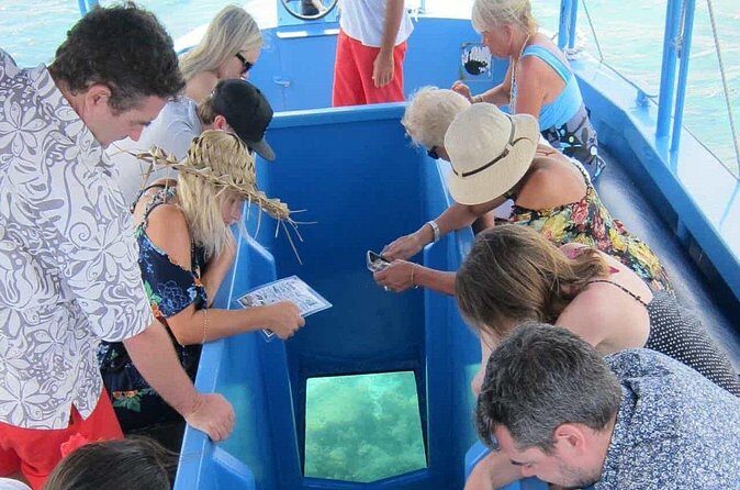 Glass Bottom Boat in Punta Cana - The Sum Up: Who Is This Tour Best For?