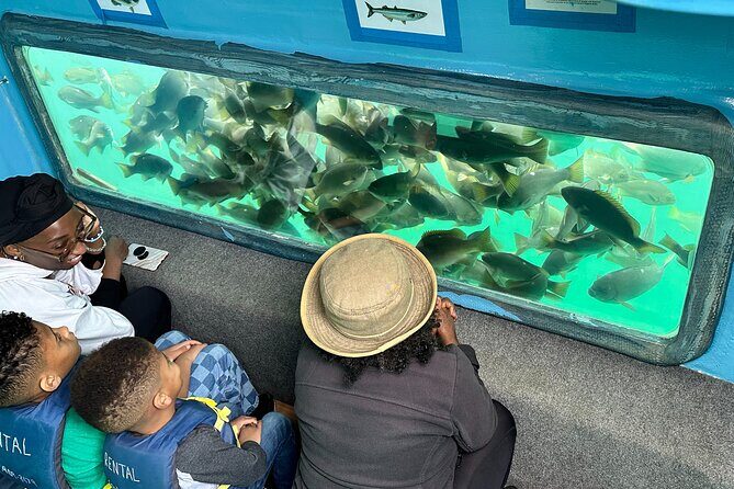 Glass Bottom Boat Ride in Redondo Beach - The Sum Up