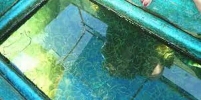 Glass Bottom Boat Ride in Trincomalee - Uncovering the Charm of the Glass Bottom Boat Ride in Trincomalee
