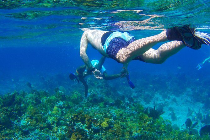 Glass Bottom Boat Ride/Snorkeling/Booby Cay Island from Negril - Key Points