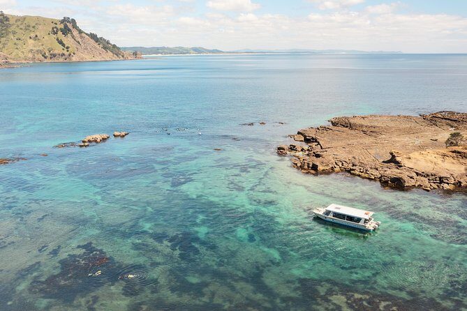 Glass Bottom Boat Tour - Key Points