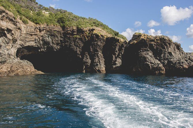 Glass Bottom Boat Tour - Final Thoughts: Why It’s a Good Choice for Many Travelers