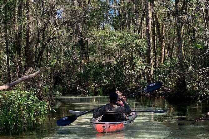 Glass Bottom Kayak Eco Tour through Rainbow Springs - What Is the Glass Bottom Kayak Eco Tour?