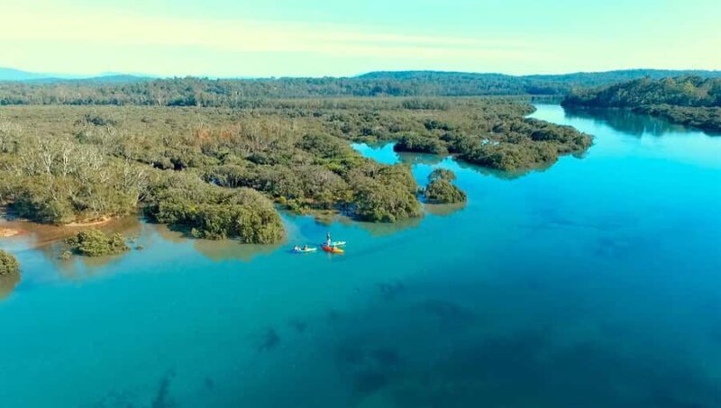 Glass Bottom Kayak Tour - Why This Tour Stands Out