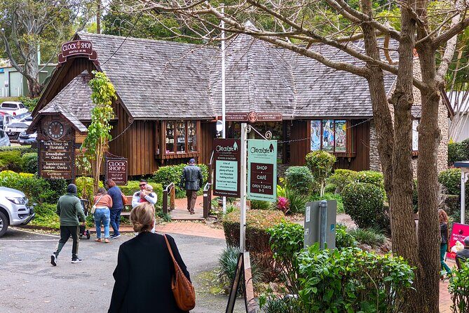 Glass House Mountains, Maleny and Montville Tour from Brisbane - A Deep Dive into the Tour Experience