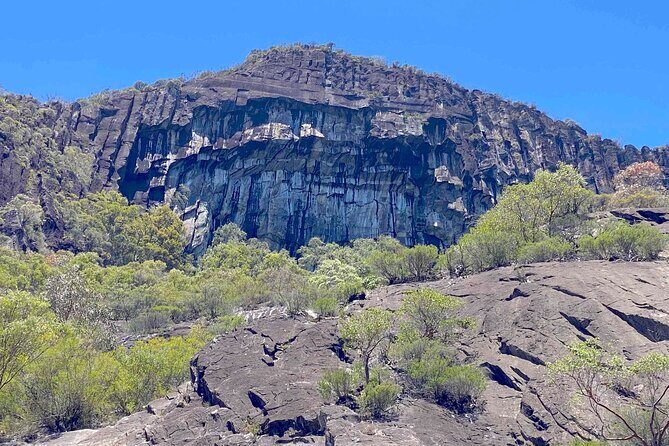 Glass House Mountains Tour with Lunch, Lookouts, and Nature Walks - Who Will Enjoy This Tour?