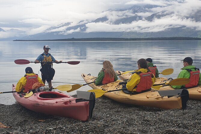Glenorchy Island Safari, Self-drive option - Analyzing the Value