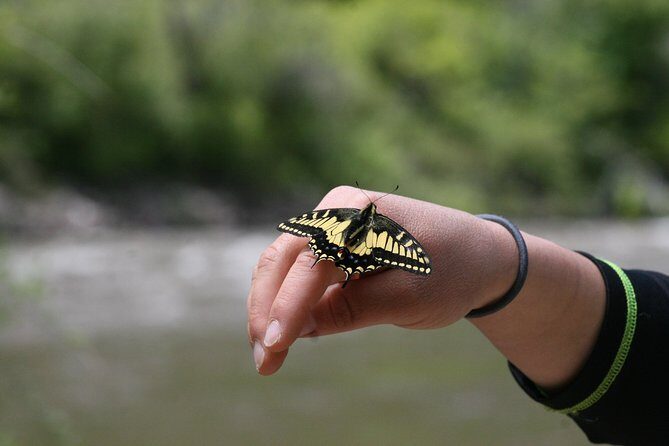 Glenwood Springs Half-Day Rafting Trip - Final Thoughts: Is It Worth It?