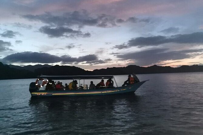 Glow-in-the-Dark Mangrove Adventure  Night Safari Plus Dinner - An In-Depth Look at the Glow-in-the-Dark Mangrove Adventure