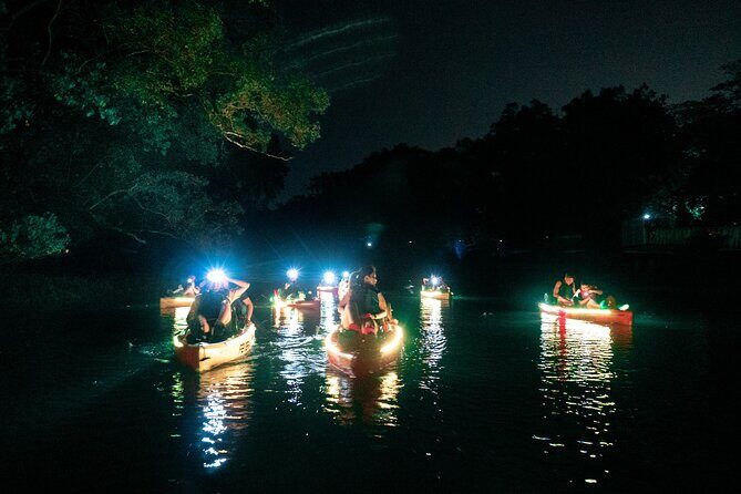 Glow Kayak Night Adventure in the Mangroves - Who Will Love This Tour?