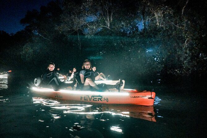 Glow Kayak Night Adventure in the Mangroves - The Sum Up: Why This Tour is Worth Considering
