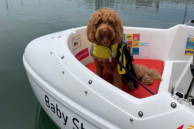 Glow Nightime Pedal Boat Rental in San Diego Bay - Frequently Asked Questions