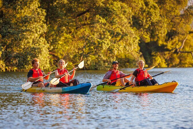 Glow Worm Adventure Kayak - Detailed Breakdown of the Experience