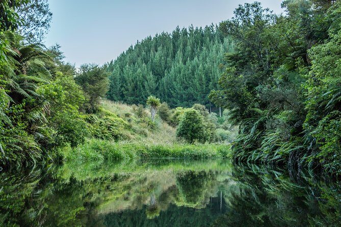 Glow Worm Kayak Tour - FAQ