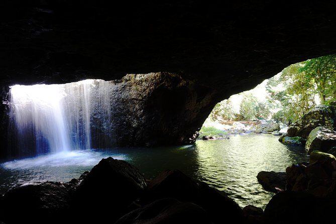 Glow Worms + Day/Night Rainforest & Waterfalls Experience - Introduction