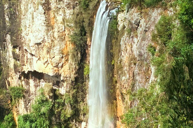 Glow Worms + Day/Night Rainforest & Waterfalls Experience - Key Points