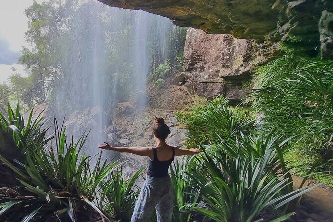 Glow Worms + Day/Night Rainforest & Waterfalls Experience - Evening Glow Worm Adventure